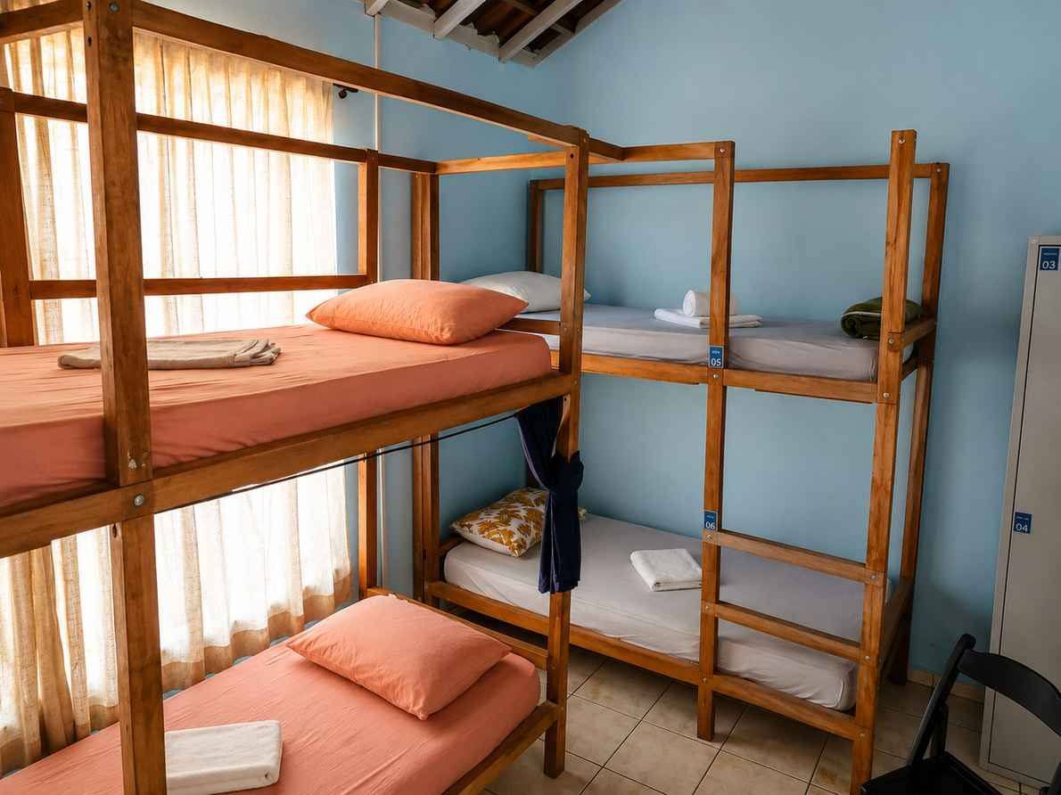 Dormitório misto de seis camas com beliches de madeira, luzes de leitura individuais e janela para a mata